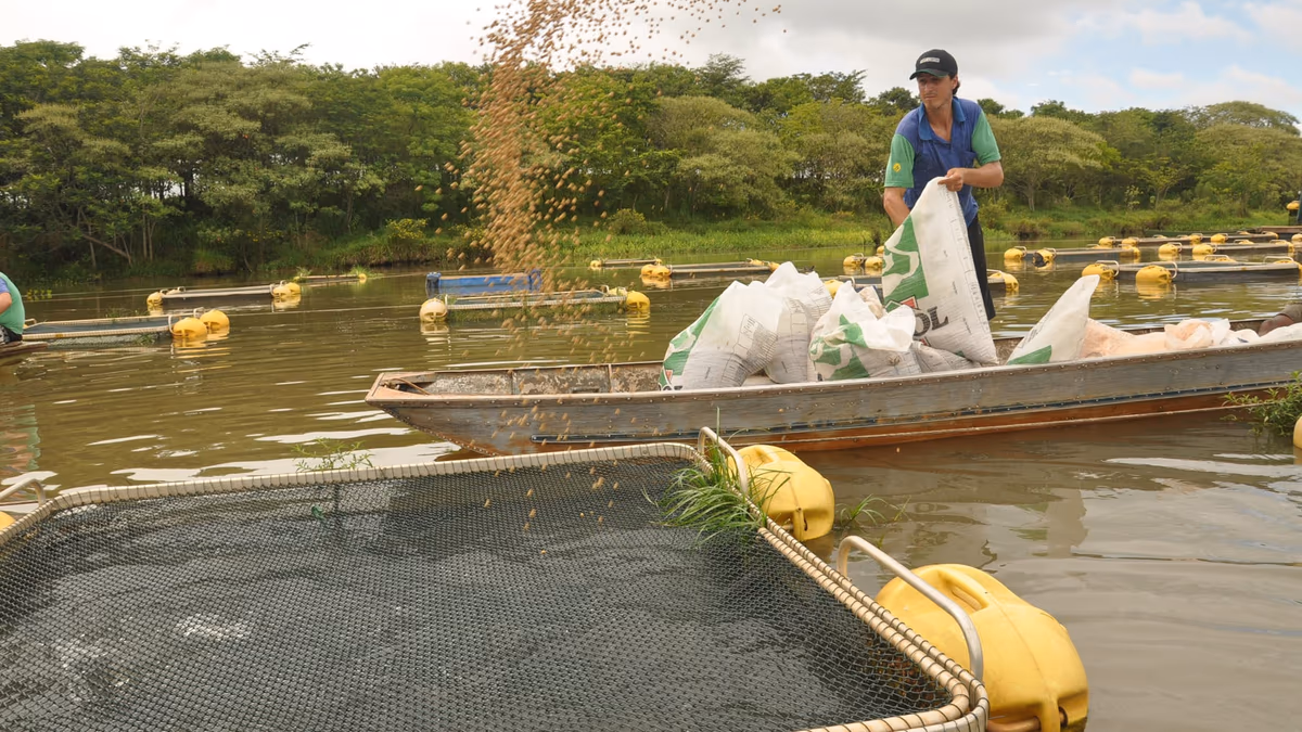 CNA pede fim de burocracia para aquicultores